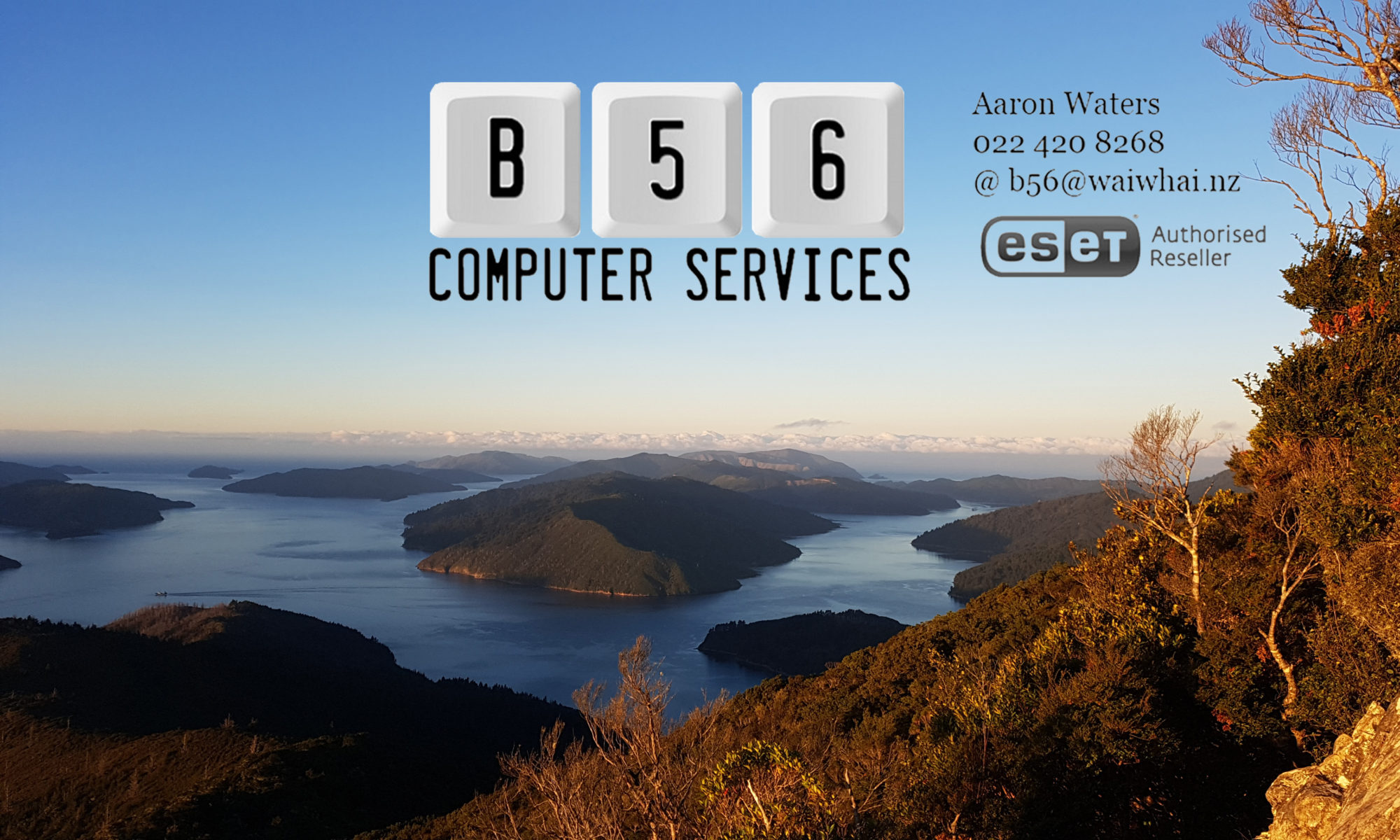 B56 Computer Services